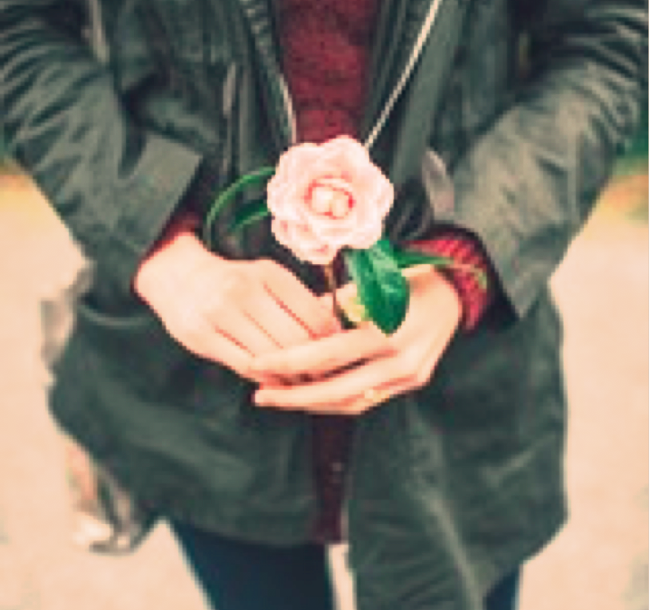 picture of a flower
